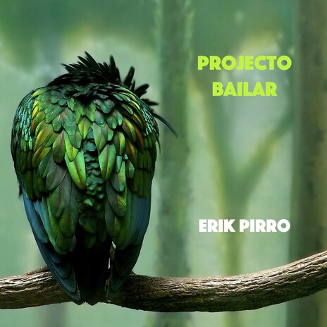Projecto Bailar cover art