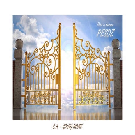 Going Home cover art