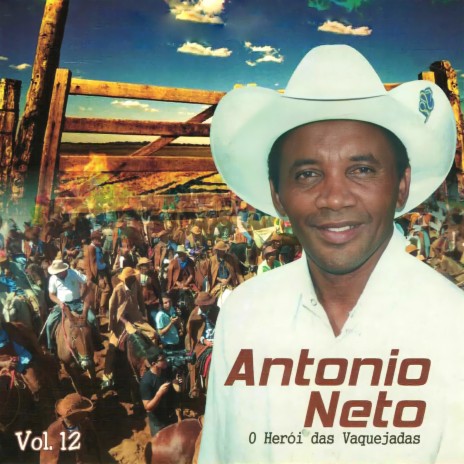 Chau do Pife no Forró cover art