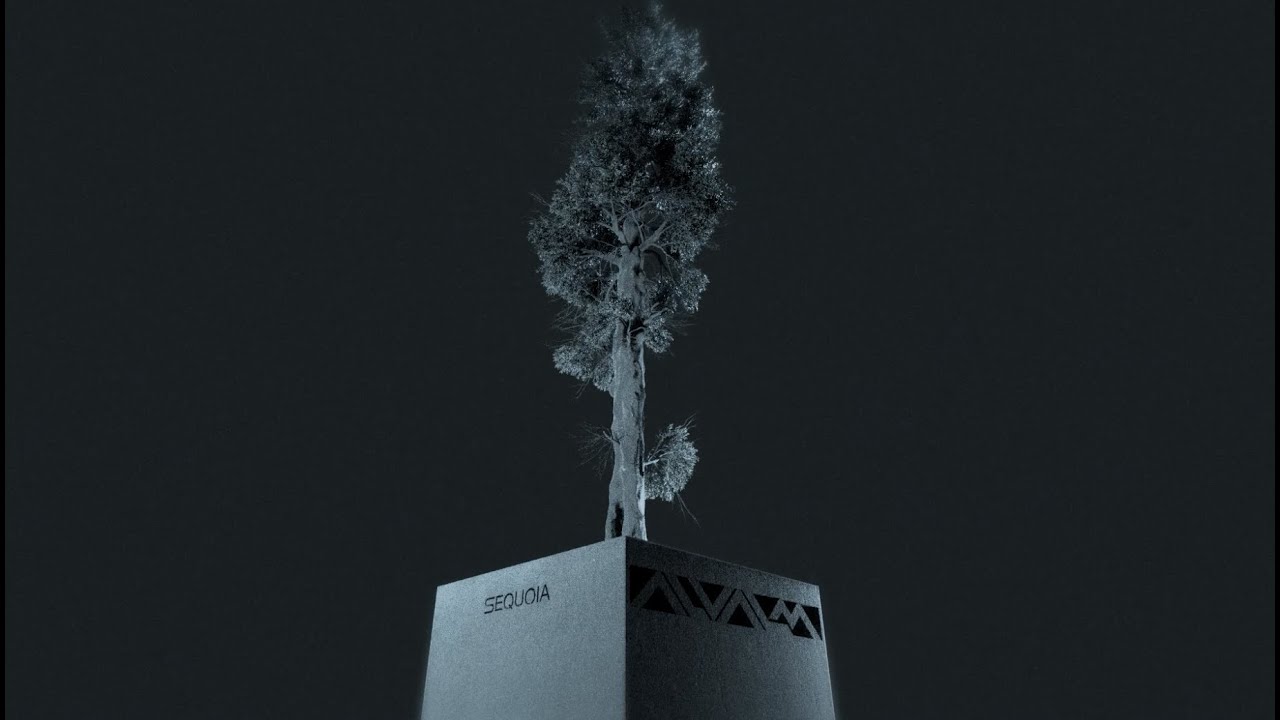 SDM - SEQUOIA (Visualizer Officiel) cover art