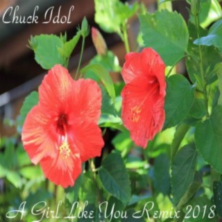 Chuck Idol