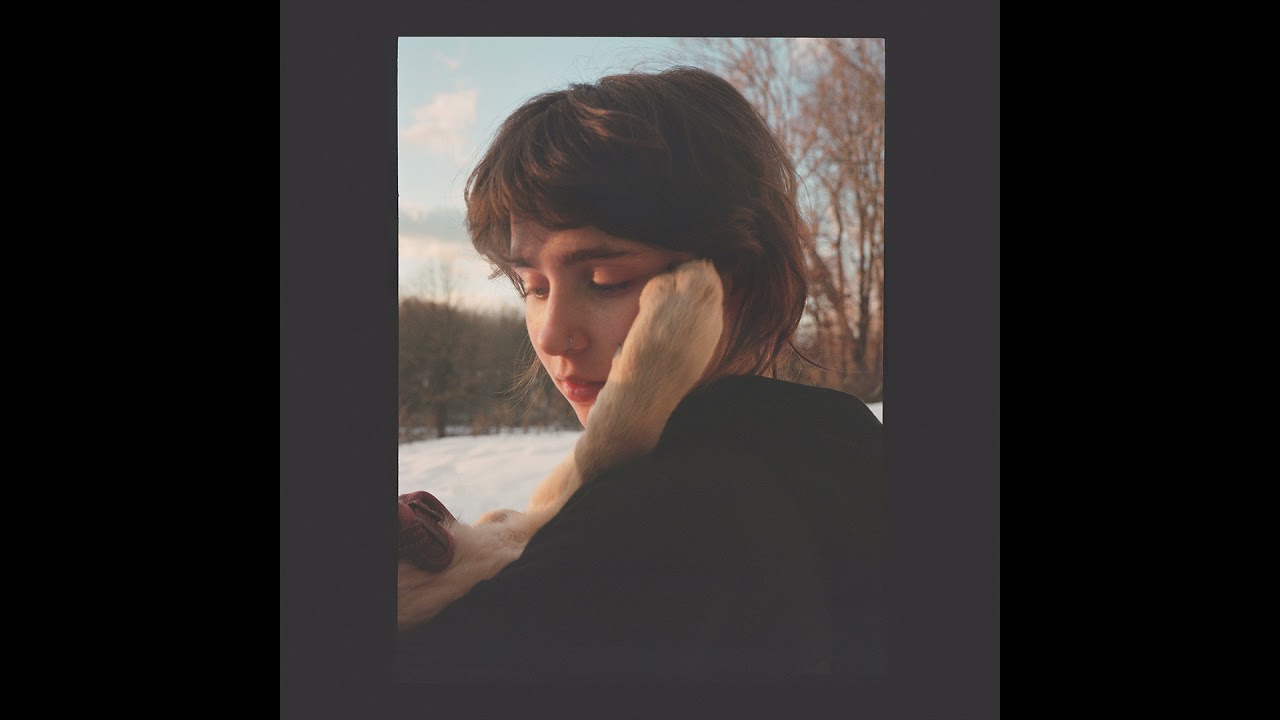 Clairo - Amoeba cover art