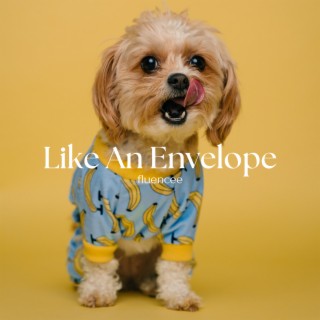Like an Envelope cover art