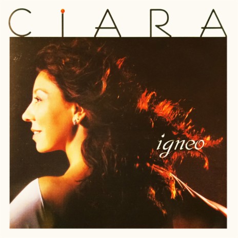 Fruta Amarga cover art