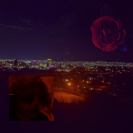 Light cover art