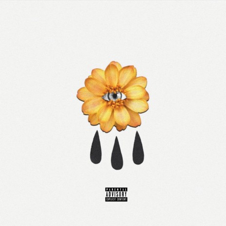 Shorty cover art