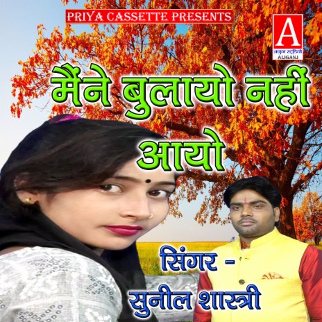 Mainne Bulayo Nahin Aayo cover art