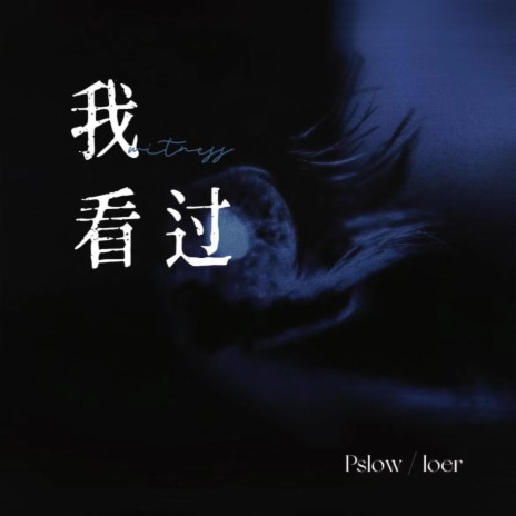 你说谎的方式 ft. Pslow cover art