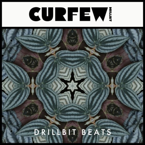 Curfew cover art