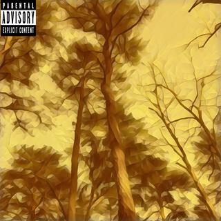 Checkpoint cover art