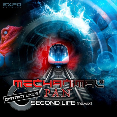 District Lines (Second Life Remix) ft. Mechanimal cover art