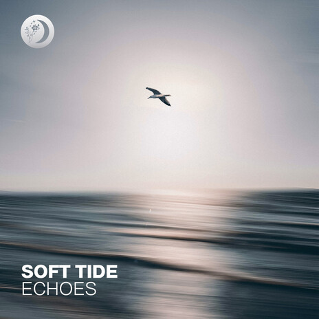 Echoes cover art