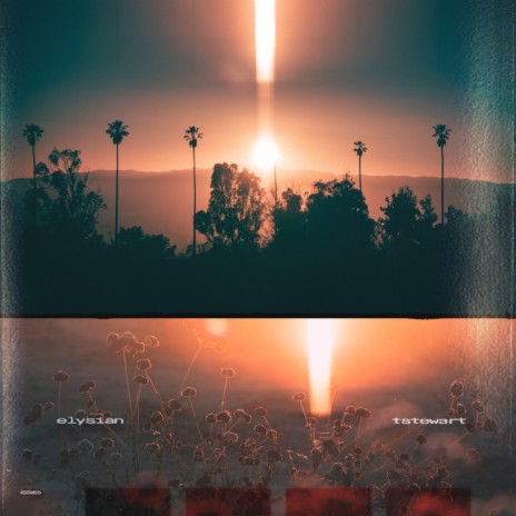 taro root ft. Machinedrum cover art
