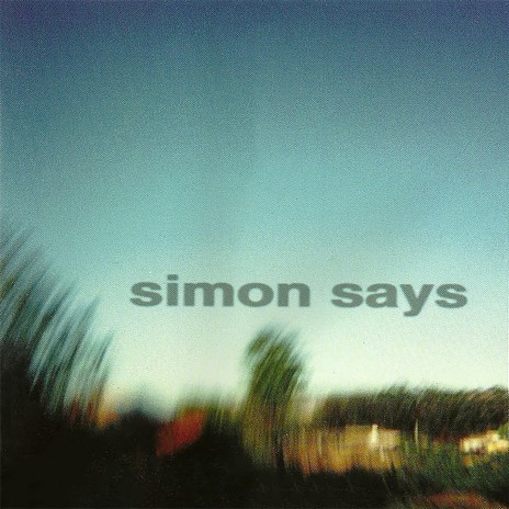 Invisible cover art