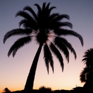 Oahu Nights cover art