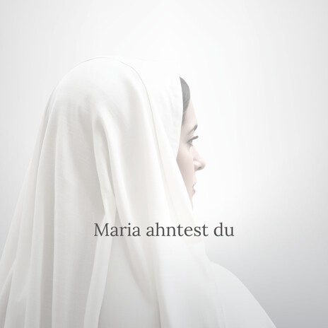 Maria ahntest du (Live) ft. Jonas van der Linden