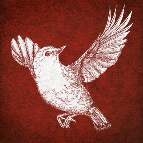 Newborn Sun cover art