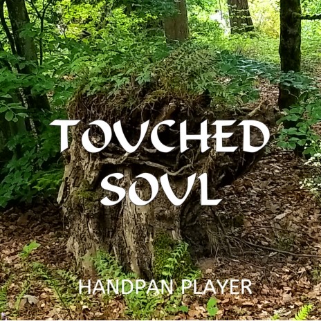 Touched Soul ft. Handpan Player & Peaceful Relaxing cover art
