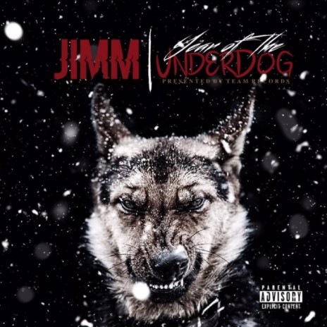 Voices cover art