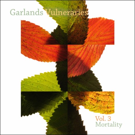 Mortality Four cover art