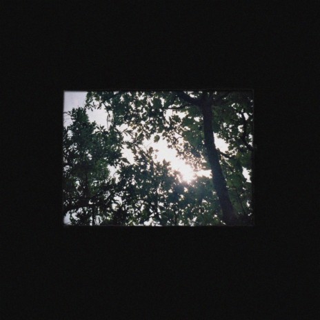 Bea cover art