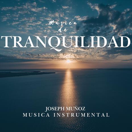 Musica de Tranquilidad cover art