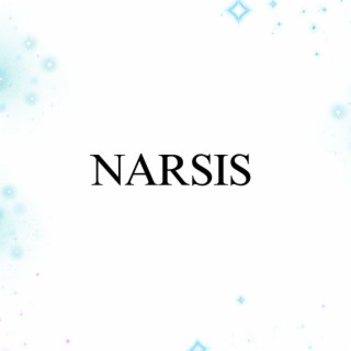 Narsis cover art