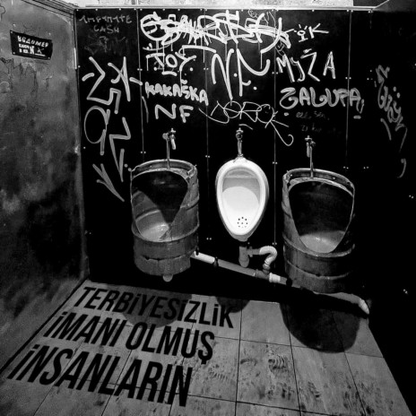 Terbiyesizlik İmanı Olmuş İnsanların cover art