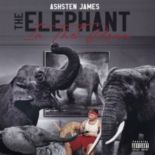 The Elephant in the Room EP