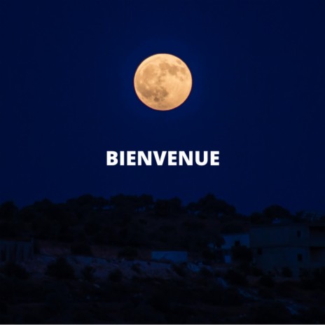 Bienvenue Chez Toi cover art