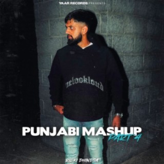 Punjabi Mashup, Pt.4 cover art