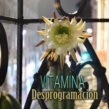 Desprogramación cover art