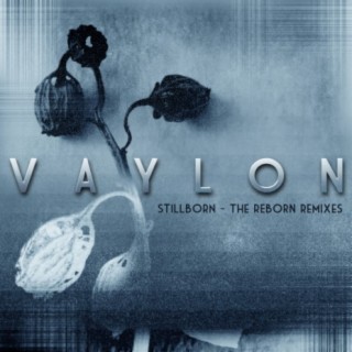 Stillborn-The Reborn Remixes