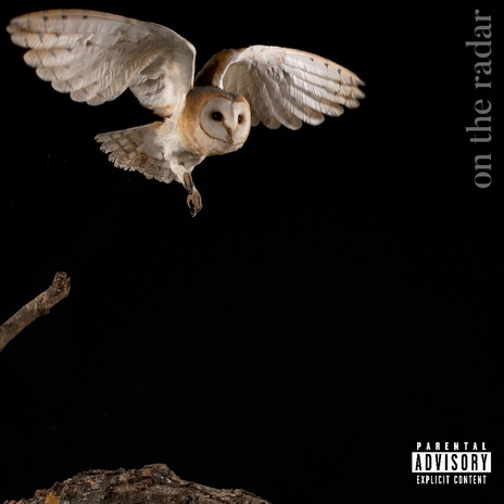 on the radar cover art