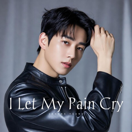 She Loved Me, Then Disappeared cover art
