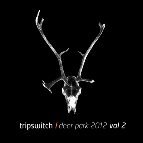 Deer Park (Joey Fehrenbach Remix) cover art