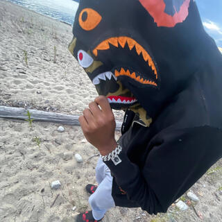 Lost. cover art