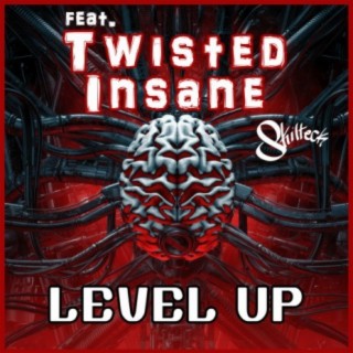 Level Up ft. Twisted Insane cover art