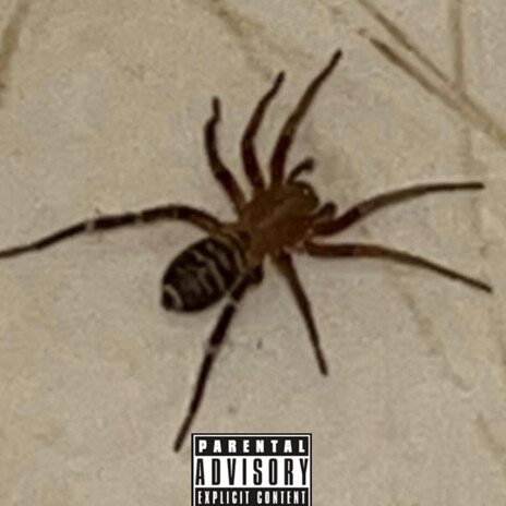 HypnotizeD cover art