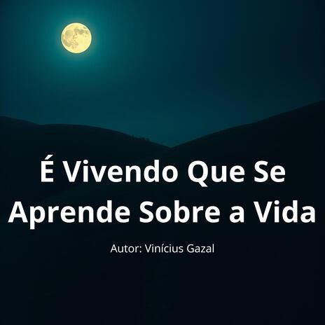 É Vivendo Que Se Aprende Sobre a Vida (Samba de Raiz-Top Hits) cover art