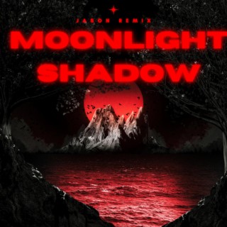Moonlight Shadow ft. Mike Oldfield cover art