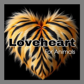 Your Lies (Loveheart For Animals) (Remix) cover art