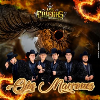 LOS COLEGAS DE LA MÚSICA NORTEÑA