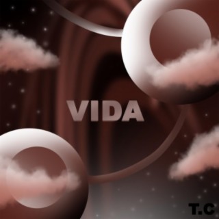 Vida cover art