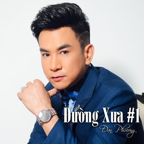Đường Về Miền Trung #1 ft. Văn Hương cover art