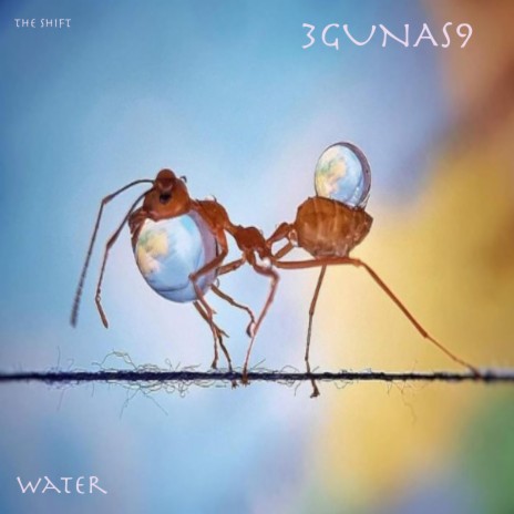 Water cover art