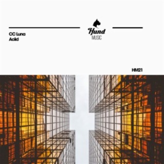 Aciid (Original Mix) cover art