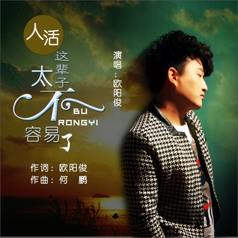 人活这辈子太不容易了(DJ何鹏版) cover art