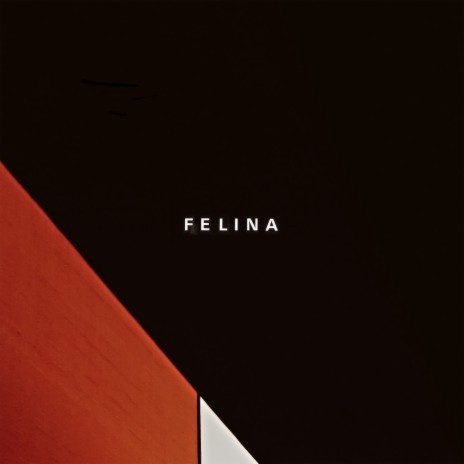 Se Acaba cover art
