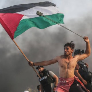 Palestine cover art